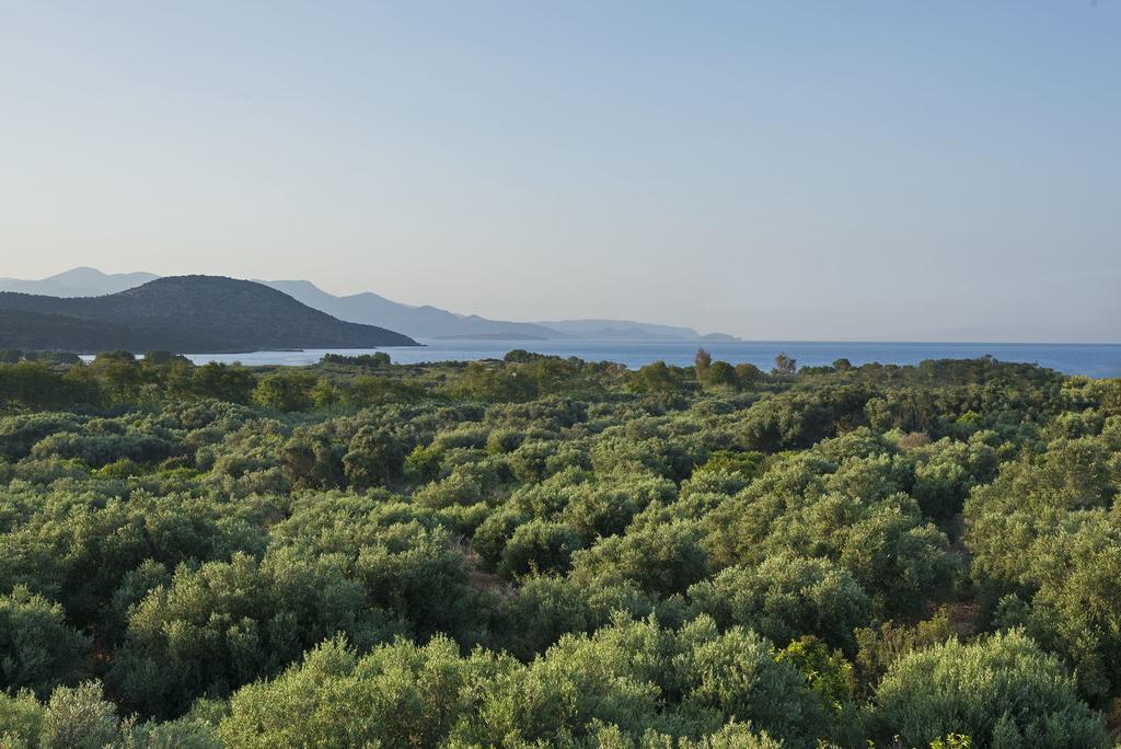Istron Maisonettes With Private Pool Εξωτερικό φωτογραφία